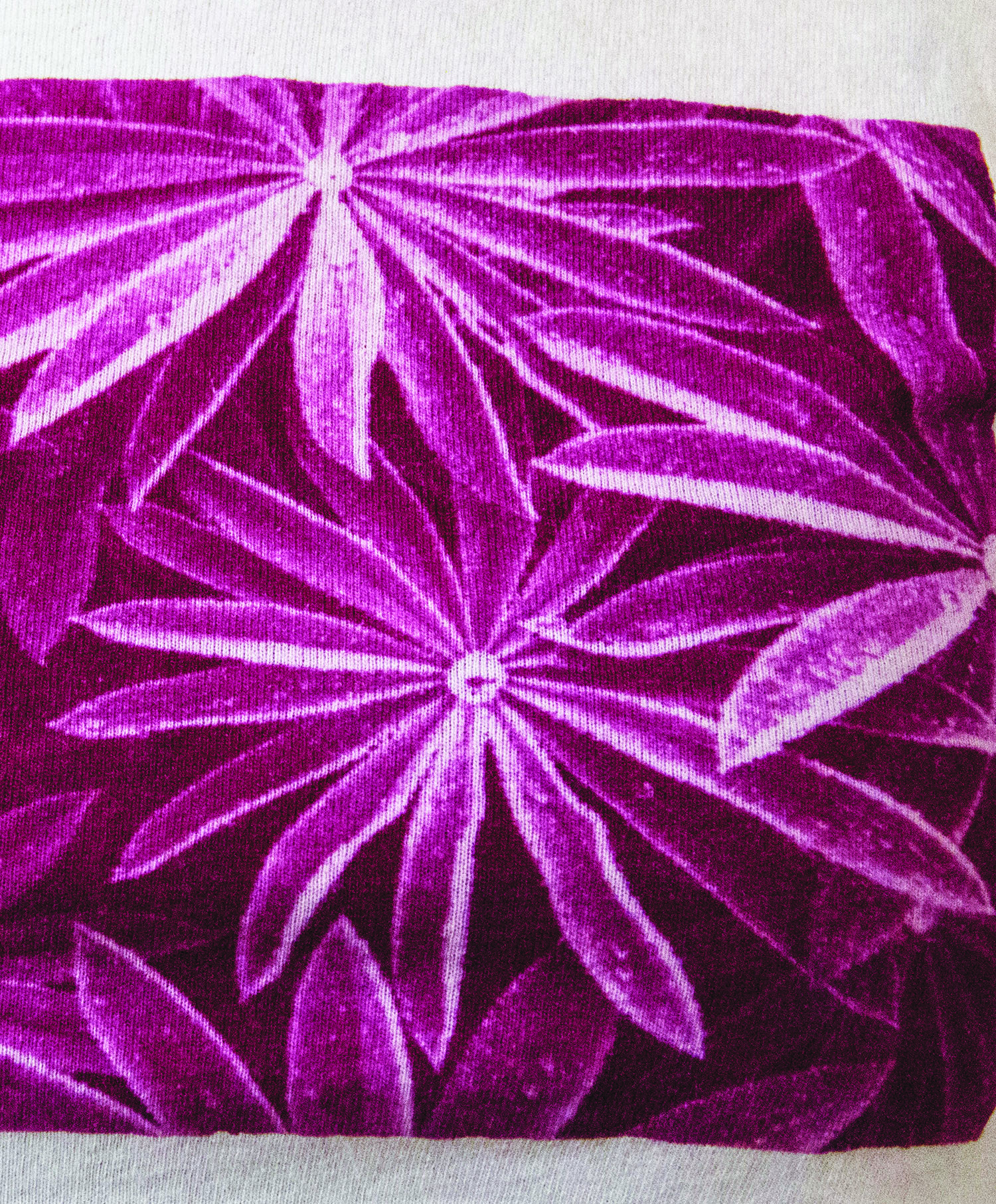 SF_Flower Close_violet
