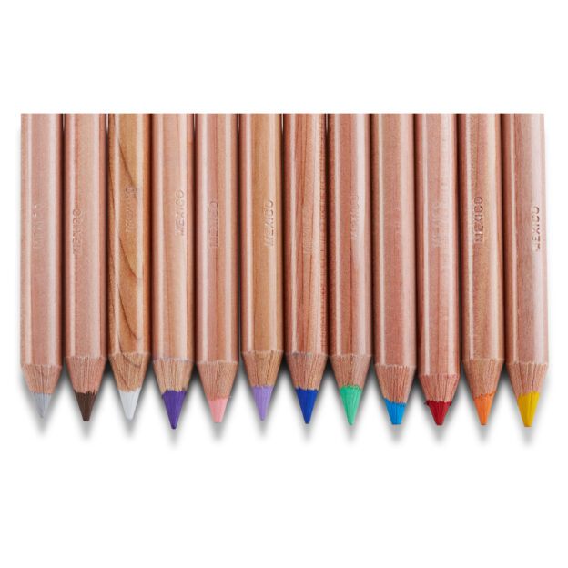 PWC12 Prismacolor Watercolour Pencils Set of 12 Detail 2 scaled